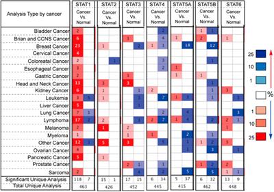 STAT3 drives the malignant progression of low-grade gliomas through modulating the expression of STAT1, FOXO1, and MYC